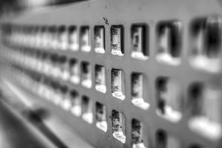 玩转卡路里:反转21克攻略的全面解读与实用指南,科学饮食与运动并进的健康瘦身法则 玩转卡路里:反转21克攻略的全面解读与实用指南,科学饮食与运动并进的健康瘦身法则