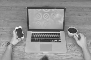 在众多选择中，如何挑选最适合的电脑看图软件？全面对比推荐！