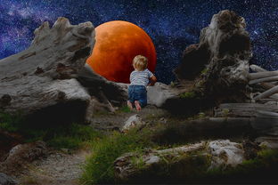 (魔力宝贝手游探索这个技能有用么)探索魔力宝贝旅人官网手游的神秘世界 (魔力宝贝手游探索这个技能有用么)探索魔力宝贝旅人官网手游的神秘世界