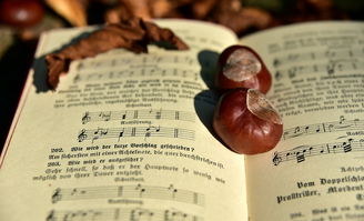 澳门彩结果历史记录|实践研究解释落实_网红版Meituan.9.763