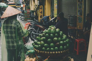 (战国布武武将大全)战国布武停服最新消息:玩家热议游戏将何去何从 (战国布武武将大全)战国布武停服最新消息:玩家热议游戏将何去何从