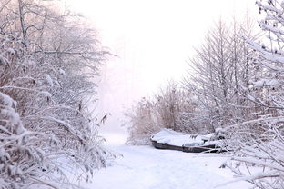 (单机碧雪情天最强装备)畅享冰雪浪漫行，感受碧雪情天单机版的无尽乐趣