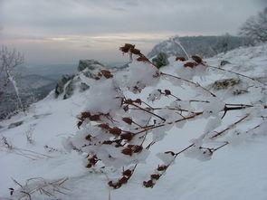 (雪中悍刀行2百度百科)雪中悍刀行第二季：冰雪严寒下的新征程，再战烽火战场