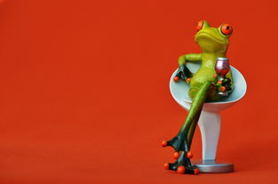 (玄界之门小说免费阅读全集)穿越玄界之门，探秘神秘世界的奥秘与秘密