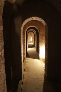 (荣耀舰队里面战舰排名)征服星海:揭秘荣耀舰队最强战舰的无比威力和科技秘密 (荣耀舰队里面战舰排名)征服星海:揭秘荣耀舰队最强战舰的无比威力和科技秘密