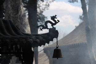 (道修门派日常)我的门派道阴谷沦为邪修之地，内情究竟是如何演变为此？