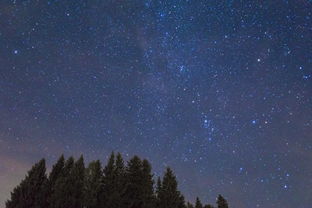(跨越星弧有破解版吗)为你解锁神秘宇宙：《跨越星弧单机版》最新资料片游戏测评