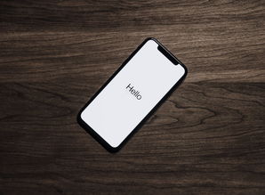 (电脑怎么苹果手机连接电脑上网设置)如何设置iPhone通过电脑连接上网的详细步骤指南与注意事项