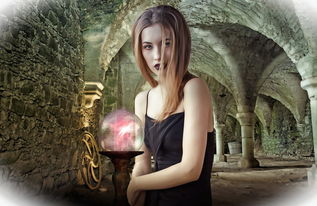 (叶罗丽魔法学院)叶罗丽魔法学校合集：揭秘学校奇幻魔法课程与精彩冒险历程