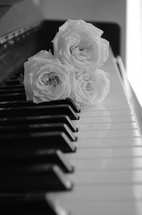 (电脑键盘钢琴曲谱大全流行曲谱)电脑键盘钢琴曲谱教程：玫瑰少年音乐创作与练习指南
