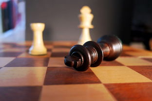 免费下载中国象棋手机版,官方版免费体验华文经典棋谱,锻炼智慧策略和技巧 免费下载中国象棋手机版,官方版免费体验华文经典棋谱,锻炼智慧策略和技巧