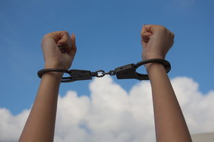 女人练流星拳的好处：提升自我防身能力，强身健体，增强体质，培养意志力。