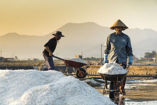 守护人"：揭示人性真谛的电视剧精彩全解，50集免费完整版让你随时随地畅享视听盛宴。