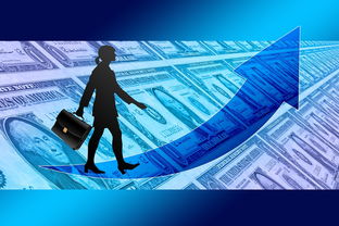 (进击的兔子写的小说)进击的兔子小姐日语配音演员表：你知道都有谁在角色里呢？