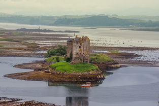 2024新澳历史开奖|探索澳门的秘密与美景_定时制.4.551