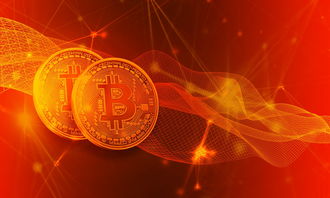 新世界和旧世界指什么？探索两个不同时代中的文化、经济与社会差异。