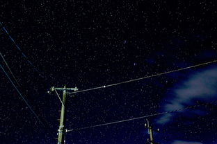 二四六天空彩资料大全网最新|月夜下的星辰与梦想_进修版.5.835