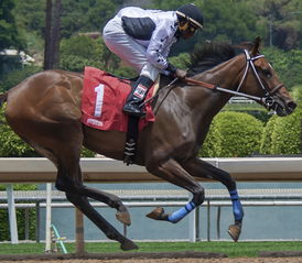 香港特马王资料免费公开|掌握生活小窍门一步到位_娱乐版IPHONE.8.94 香港特马王资料免费公开|掌握生活小窍门一步到位_娱乐版IPHONE.8.94