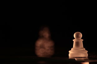 (“单机象棋”)单机版象棋游戏：挑战智力，享受心灵对弈的精神独享