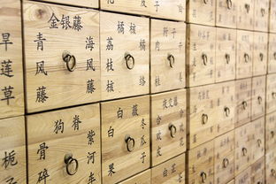 (秦皇汉武是哪个朝代)秦皇汉武是什么意思，他们在中国历史中扮演着什么样的角色？