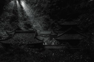 探索奇幻世界，感受魔幻之美——红月手游全面解析，体验最激情刺激战斗！