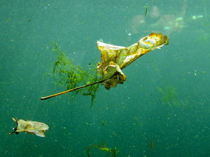 (勇者和冒险者的区别)勇士与冒险者：零氪职业推荐，适合勇敢的冒险者们展开新旅程