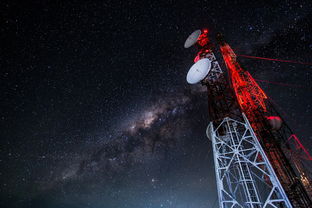 (喵星游戏平台)2023喵星族游戏攻略大全:最新版本全新攻略技巧分享 (喵星游戏平台)2023喵星族游戏攻略大全:最新版本全新攻略技巧分享