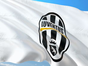 (梦幻足球联盟2018juventus)梦幻足球联盟2018:全新赛季,巅峰对决,谁与争锋 (梦幻足球联盟2018juventus)梦幻足球联盟2018:全新赛季,巅峰对决,谁与争锋