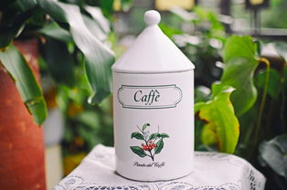 (冲泡茶饮推荐)品茗好去处:探寻十款适合冲泡的优质茶叶 (冲泡茶饮推荐)品茗好去处:探寻十款适合冲泡的优质茶叶
