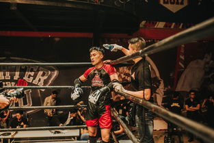 兰岛物语结局全攻略：揭秘所有结局与隐藏要素，助你完美体验游戏人生