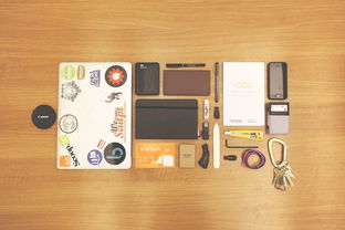 (我的世界贝爷生存之旅)贝爷生存我的世界手机版攻略：探索无尽世界，挑战生存极限！