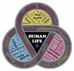 (工作细胞穿越)穿梭在工作细胞世界中的大作战:秒玩快感让你欲罢不能 (工作细胞穿越)穿梭在工作细胞世界中的大作战:秒玩快感让你欲罢不能