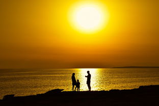 御龙争霸：八大神将齐聚，层层关卡等你挑战，玩家体验皇城角力战斗欲罢不能