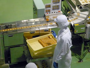 (宠物免费咨询热线)24小时免费宠物咨询服务，专业咨询师助您解决宠物问题