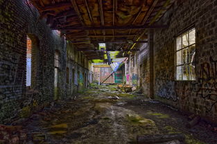 《弹壳特攻队》免费无限充值版玩法解析与攻略:畅享无敌体验,轻松获取资源! 《弹壳特攻队》免费无限充值版玩法解析与攻略:畅享无敌体验,轻松获取资源!