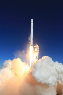 爱冒险的跳跳：探险宇宙，挑战极限，展翅翱翔，尽情享受每一次飞跃