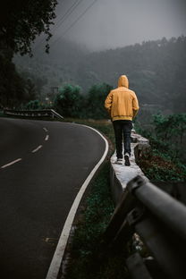 (如梦下半场)探究“如梦下弦月”被下架的原因及其对读者的影响分析