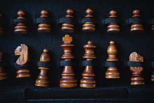 (电脑象棋软件棋力排名)最受欢迎的电脑象棋软件推荐及使用技巧大揭秘 (电脑象棋软件棋力排名)最受欢迎的电脑象棋软件推荐及使用技巧大揭秘
