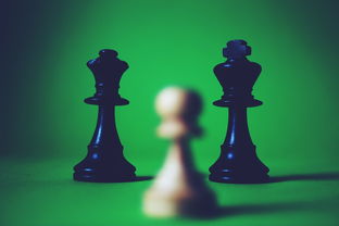 玉之魂游戏：探索古老传说中的神秘世界，挑战心灵的深度与勇气