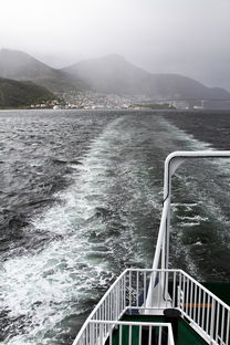 (播放海洋城市)探索海洋世界的冒险之旅: 海洋城市游戏APP