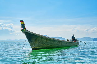 (皇家海军战舰)皇家海战游戏：探索海洋争霸与策略决策的无尽魅力
