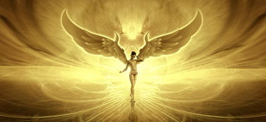 (来古是哪个动漫的)探秘来古是什么二次元世界的神秘魅力