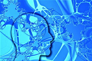 (幻想生活link流程攻略)如何找到幻想生活link完美纽扣?探寻最佳装饰配饰的秘密! (幻想生活link流程攻略)如何找到幻想生活link完美纽扣?探寻最佳装饰配饰的秘密!