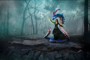 (《指挥官》)探索指挥官动画的神秘世界:从制作到播放的全方位解读 (《指挥官》)探索指挥官动画的神秘世界:从制作到播放的全方位解读