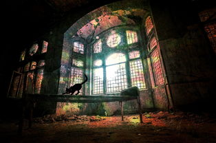 (亮剑之无限强化小说下载)亮剑之无限强化系统：揭秘秘藏在其中的无尽力量