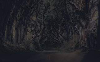 (妖怪道中记 攻略)探秘神秘之路：妖怪道中记游戏全攻略和玩法介绍