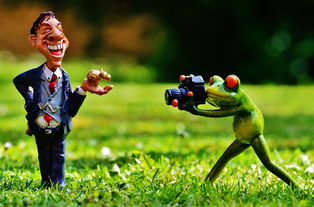 (悲伤蛙百科)悲伤蛙的创业日记:无广告烦扰的真实奋斗故事与心路历程 (悲伤蛙百科)悲伤蛙的创业日记:无广告烦扰的真实奋斗故事与心路历程