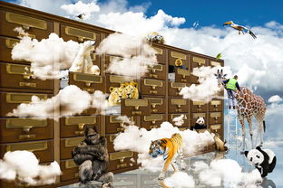 探寻东方年代记攻略第三章的宝藏与秘密,揭开游戏世界的神秘面纱 探寻东方年代记攻略第三章的宝藏与秘密,揭开游戏世界的神秘面纱