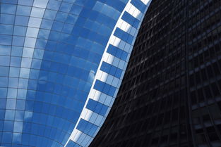 探索未来科技趋势:以智能姬化MOD内置为核心探究游戏行业发展新动力 探索未来科技趋势:以智能姬化MOD内置为核心探究游戏行业发展新动力