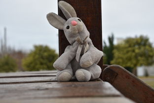 《派对游戏-閟热的兔子》:疯狂派对游戏:閟热的兔子们带来无尽欢乐和惊喜 《派对游戏-閟热的兔子》:疯狂派对游戏:閟热的兔子们带来无尽欢乐和惊喜